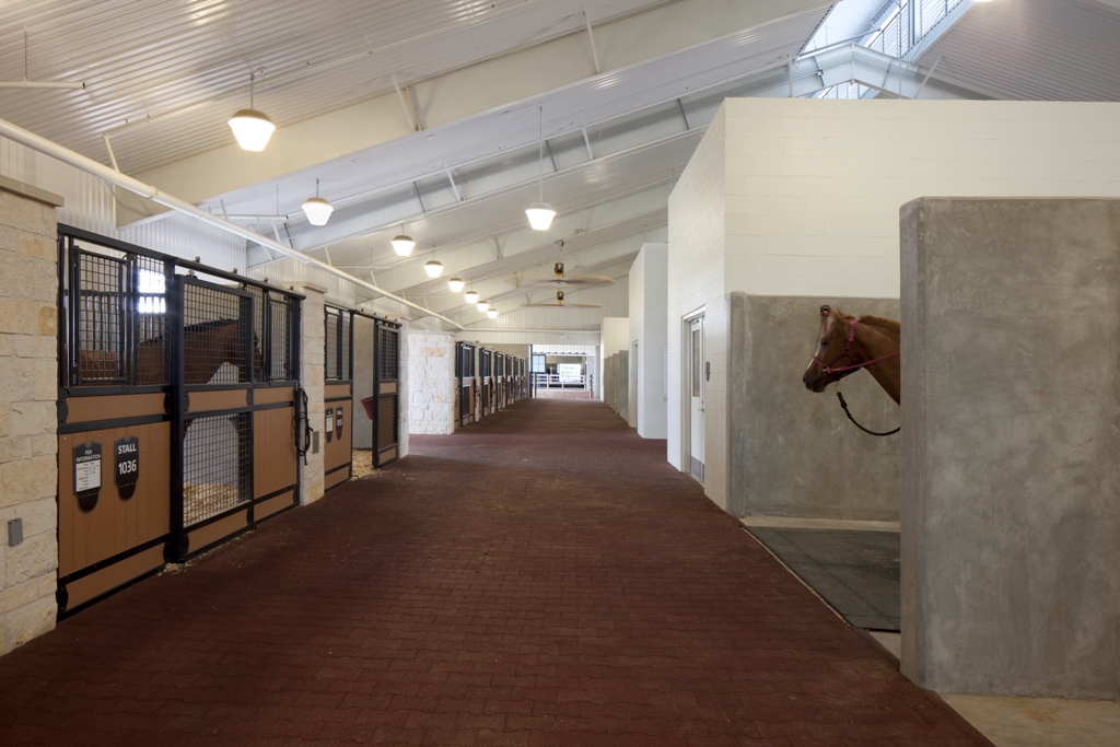 Texas A&M Equine Center 10