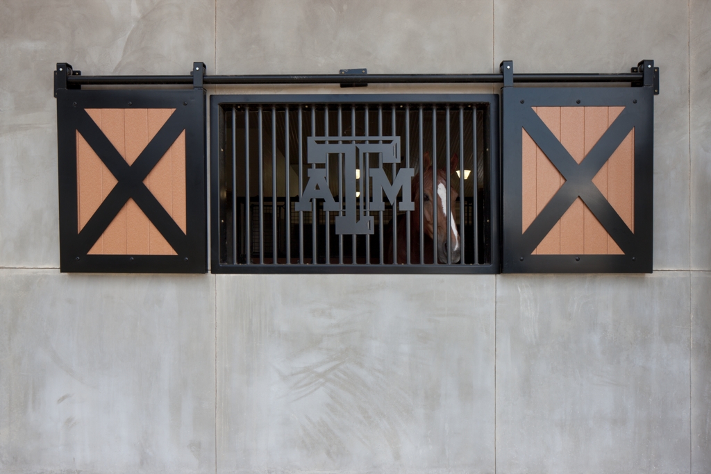 Texas A&M Equine Center 11