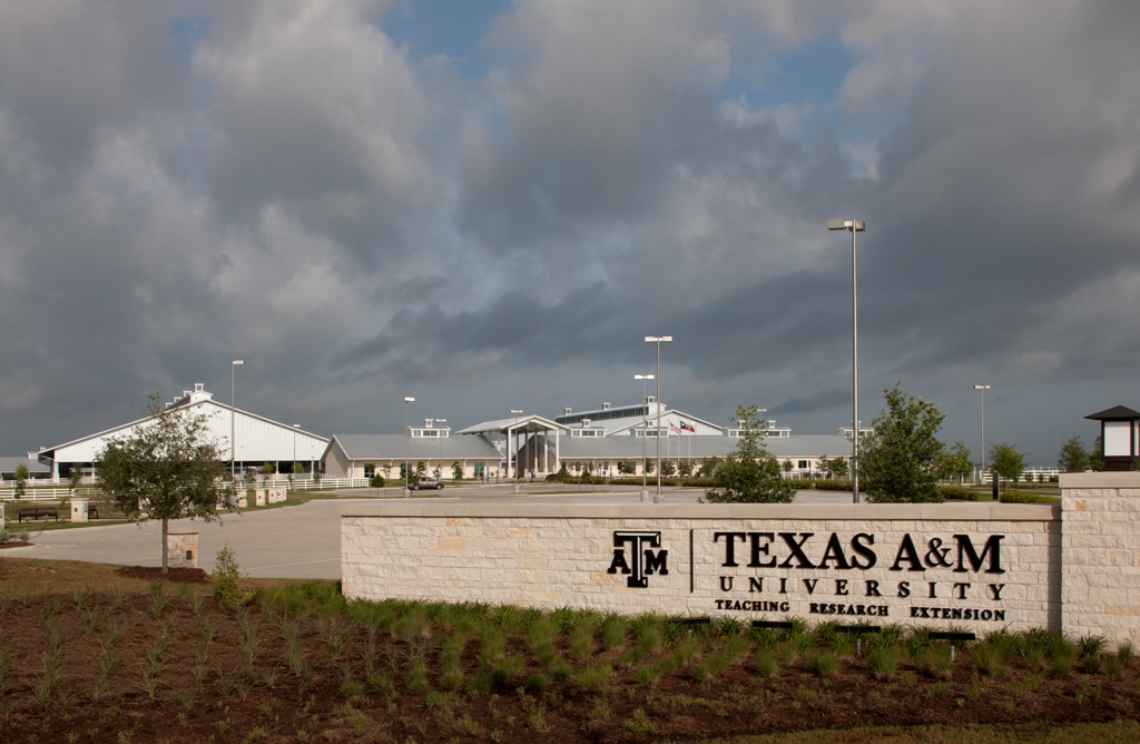 Texas A&M Equine Center 6