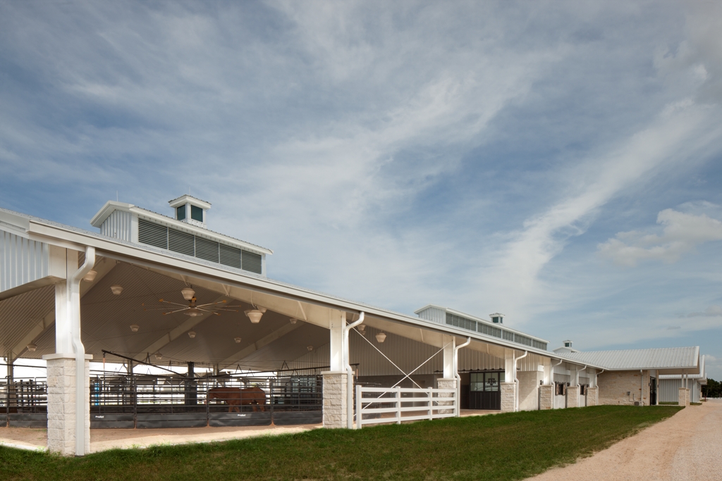 Texas A&M Equine Center 7