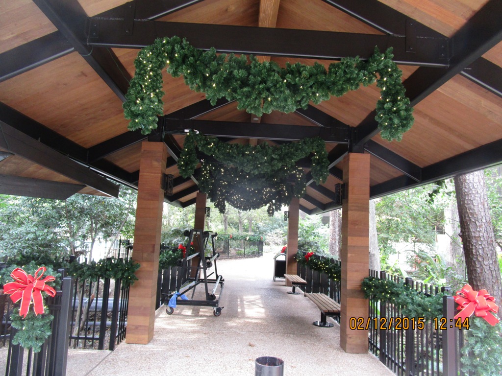 The Houstonian Pedestrian Bridge 1